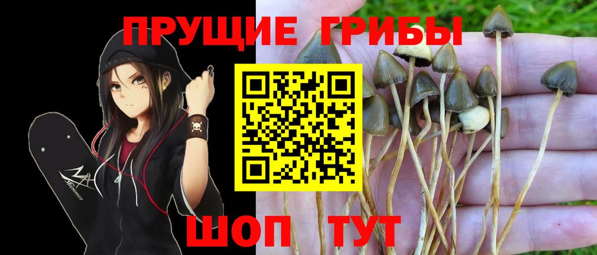 Псилоцибиновые грибы прущие грибы Королёв