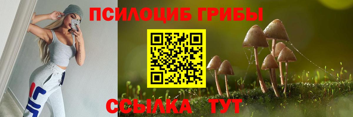 Псилоцибиновые грибы мицелий  Вход с VPN  Королёв 